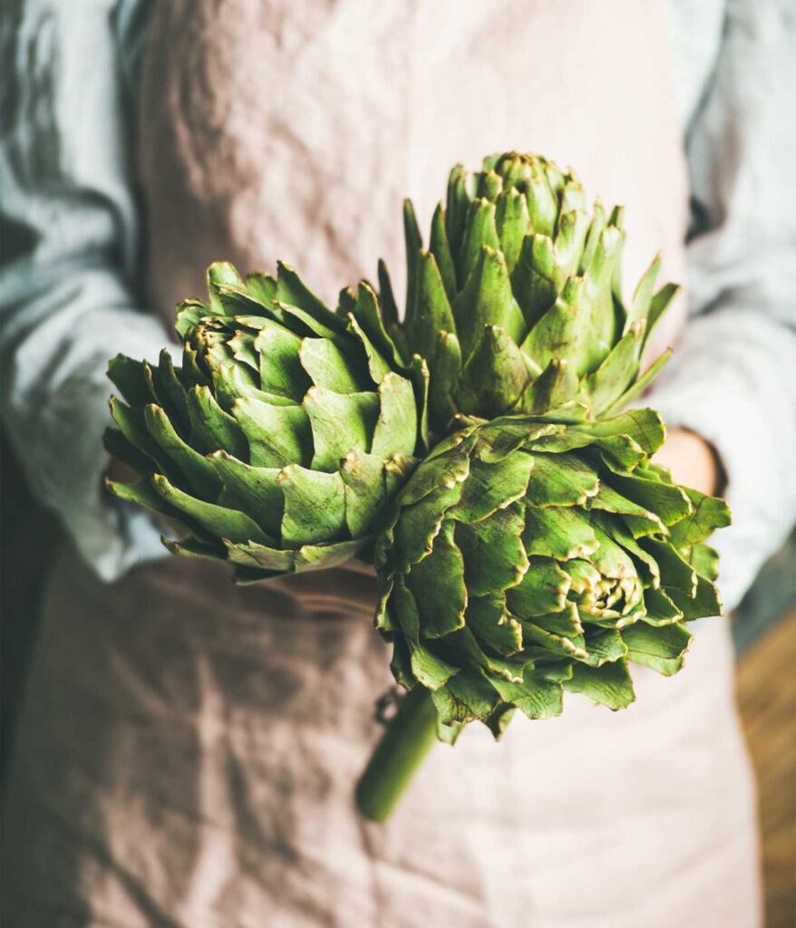 Osoba trzymająca karczochy